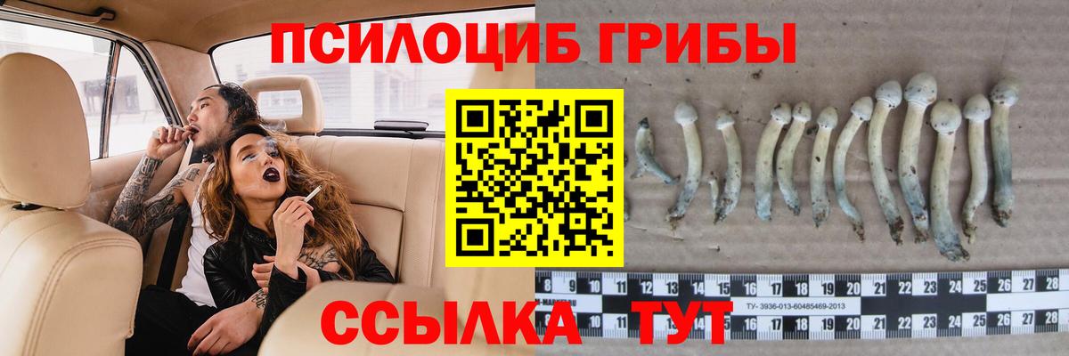 сколько стоит  Вход с VPN  Зеленодольск  Галлюциногенные грибы ЛСД 